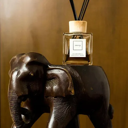 Richard&lulù In Rome